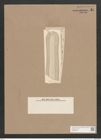 Navicula nobilis var. neogena Grun. (de-Toni-Nr.: Genus 1, Species 1) Zeichnungen Sammlung Grunow Nr. 14 (NHMW-BOT-W0366195)